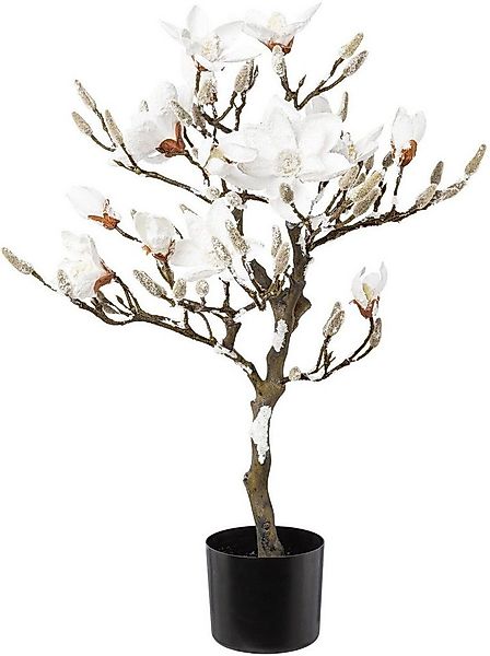 Winterliche Kunstpflanze Weihnachtsdeko Magnolie, Creativ green, Höhe 87 cm günstig online kaufen