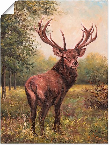 Artland Wandbild "Hirsch", Wildtiere, (1 St.), als Leinwandbild, Poster, Wa günstig online kaufen