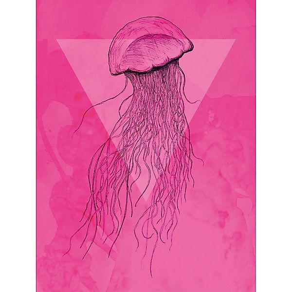 Komar Bild "Jellyfish Pink", Tiere, (1 St.), Wandbild zur Dekoration - ohne günstig online kaufen