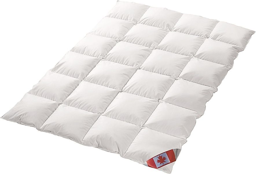 Canada Daunenbettdecke Canada warme Winter Daunendecke günstig online kaufen