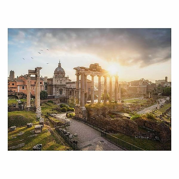 Alu-Dibond Bild Forum Romanum bei Sonnenaufgang günstig online kaufen