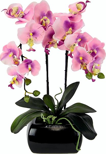 Kunstpflanze Phalaenopsis, I.GE.A., Höhe 58 cm günstig online kaufen
