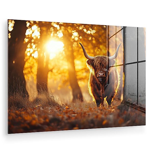 MuchoWow Acrylglasbild Schottische Highlander - Wald günstig online kaufen