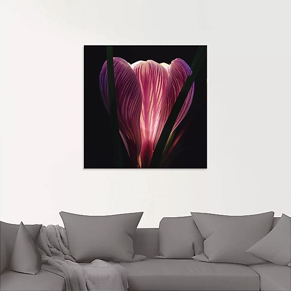 Artland Glasbild "Beleuchtet", Blumen, (1 St.), in verschiedenen Größen günstig online kaufen