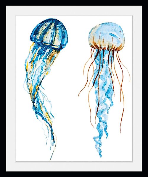 queence Bild »Alexander«, Meer-Wassertiere-Kunst, (1 St.), HD Premium Poste günstig online kaufen