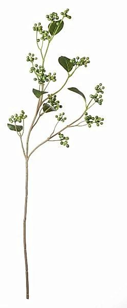 ASA Kunstpflanzen & -blumen Brombeerzweig grün 77,5 cm (grün) günstig online kaufen
