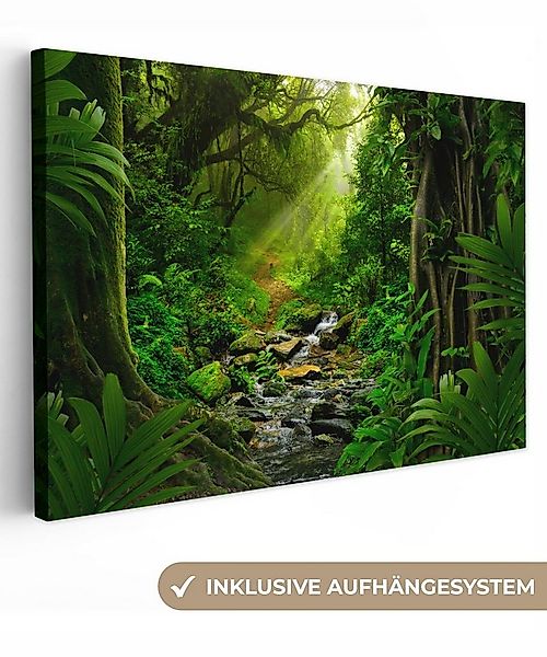 OneMillionCanvasses® Leinwandbild Dschungel - Wasser - Laub - Sonne - Natur günstig online kaufen