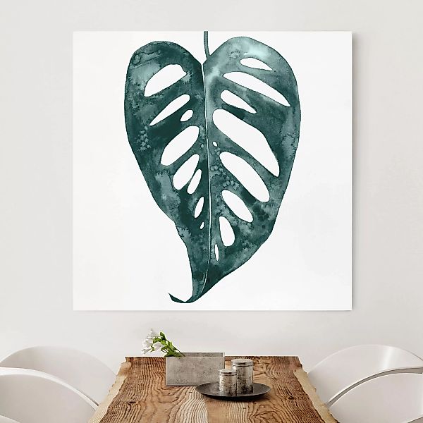 Leinwandbild Botanik - Quadrat Smaragdgrüne Monstera Adansonii günstig online kaufen