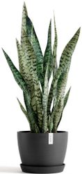 ECOPOTS Blumentopf Stockholm 24 Dunkelgrau, für günstig online kaufen