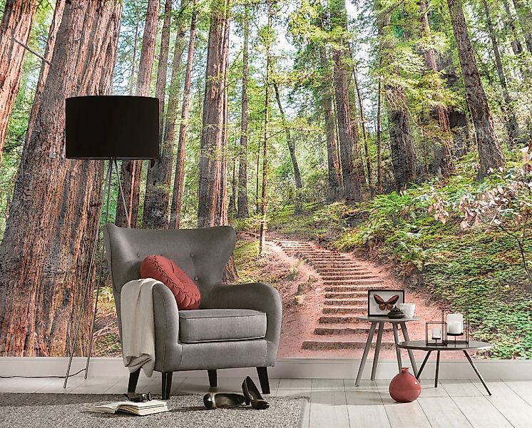 living walls Fototapete »Designwalls Forest Walk 1«, Vlies, Wand, Schräge, günstig online kaufen