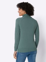 Sieh an! Strickpullover Rollkragenpullover günstig online kaufen