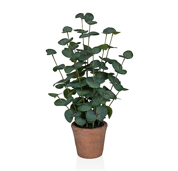 Kunstpflanze Kunstpflanze Eucalyptus Kunststoff Eukalyptus, hjh OFFICE, Höh günstig online kaufen