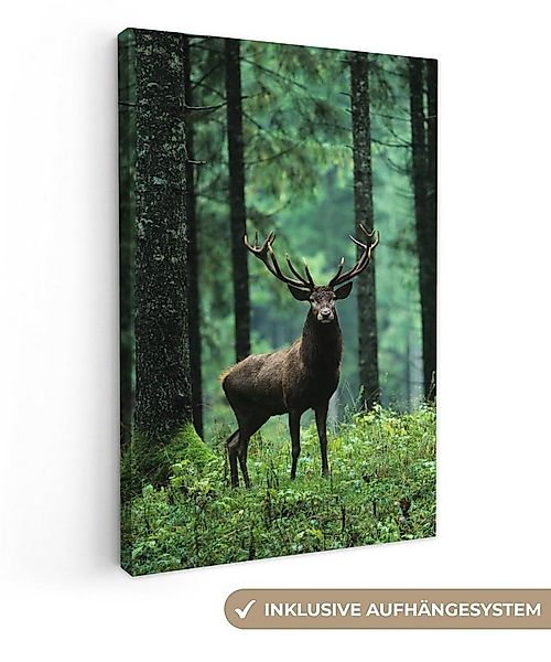 OneMillionCanvasses® Leinwandbild Hirsche - Wald - Bäume - Tiere - Natur, F günstig online kaufen