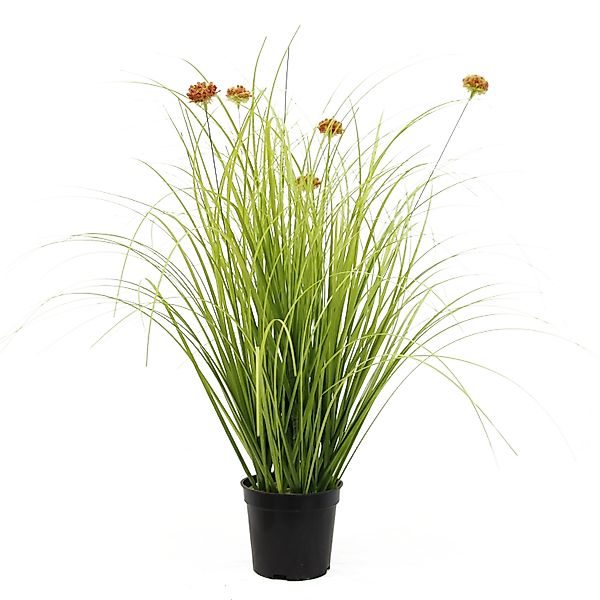 Kunstpflanze Künstliches Gras, Deko, Kunstpflanze, Pampasgras, günstig online kaufen
