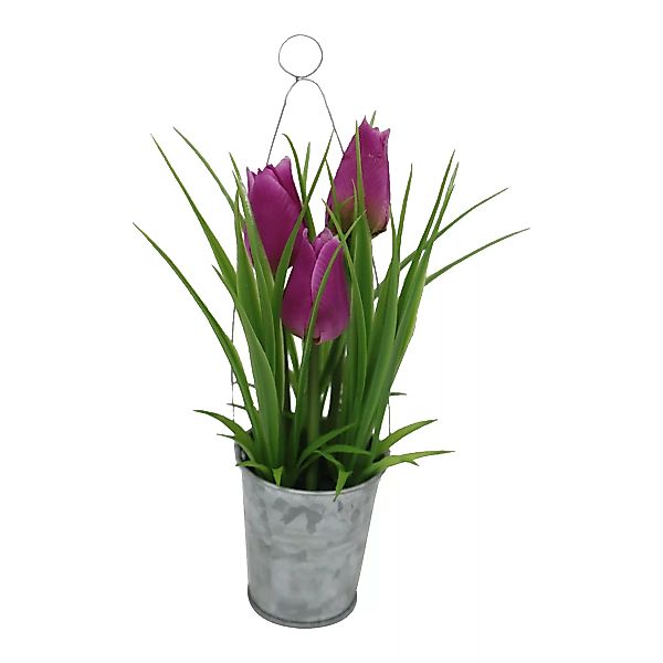 Tulpe i.Topf m. Metallhänger ca.20 ,lila günstig online kaufen