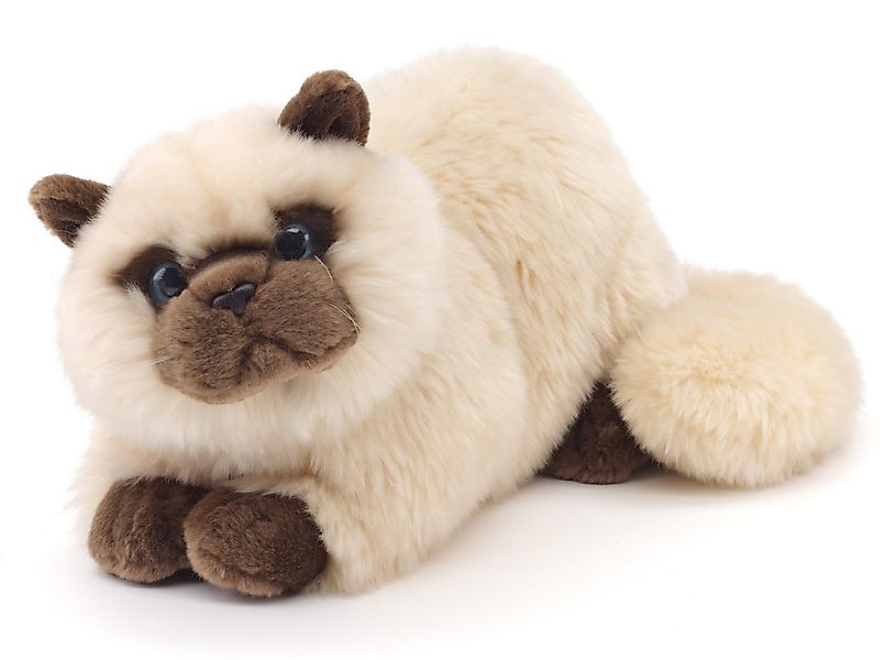 Uni-Toys Kuscheltier Perserkatze, liegend - 31 cm (Länge) - Plüsch-Katze, P günstig online kaufen