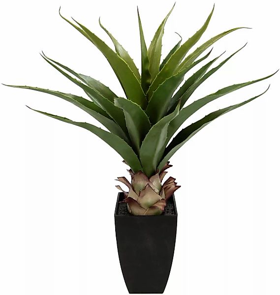 Kunstpflanze Agave im Topf Agave, I.GE.A., günstig online kaufen