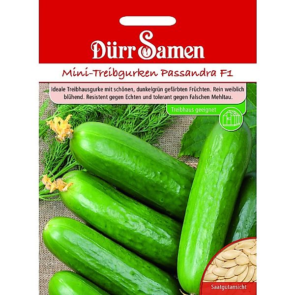 Dürr Samen Mini-Treibgurken Passandra F1 Saatgut günstig online kaufen