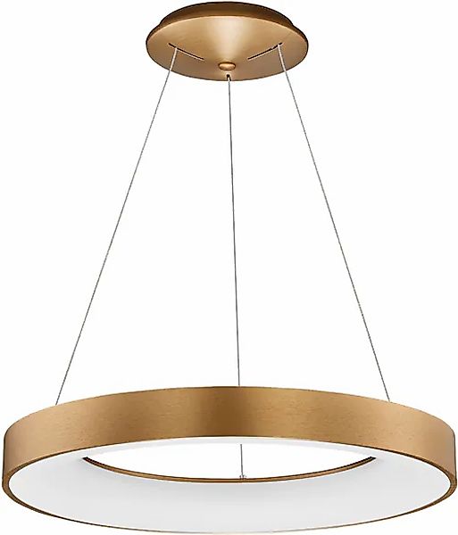 Nova Luce LED-Hängeleuchte »RANDO THIN«, 1 flammig, Leuchtmittel LED-Modul günstig online kaufen