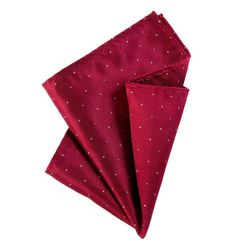 DonDon Einstecktuch DonDon Herren Hanky 25 günstig online kaufen