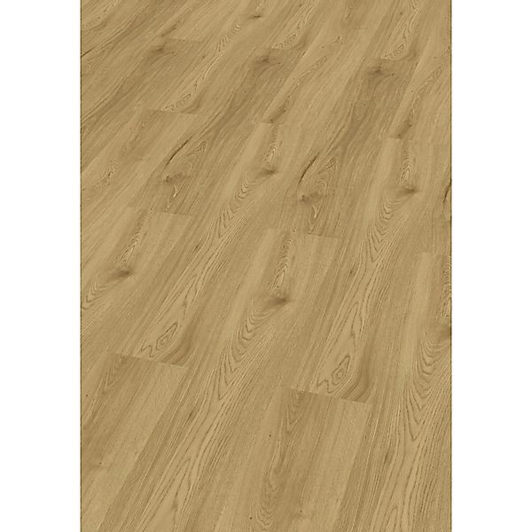 Check Click-Vinylboden PET Levitas Breitdiele inkl. Trittschall Eiche günstig online kaufen