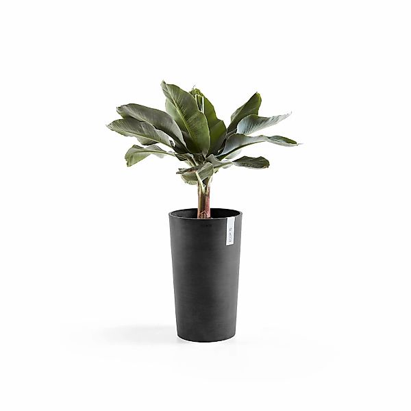 ECOPOTS Blumentopf "Amsterdam", ØxH: 30x50 cm günstig online kaufen