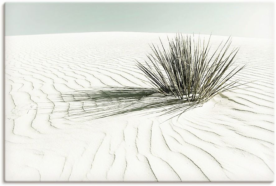 Artland Wandbild "Dünen, weißer Sand Vintage" Strandbilder 1 Stk. tlg. als günstig online kaufen