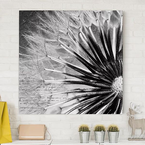 Leinwandbild Blumen - Quadrat Pusteblume Schwarz & Weiß günstig online kaufen