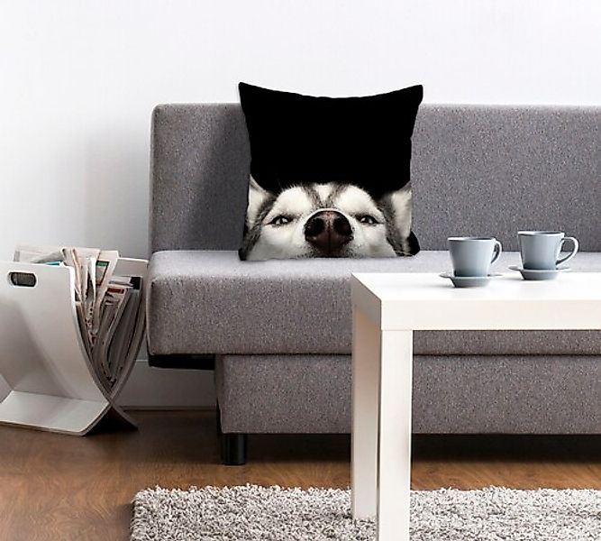 queence Dekokissen "Husky" mit einem neugierigen Husky günstig online kaufen