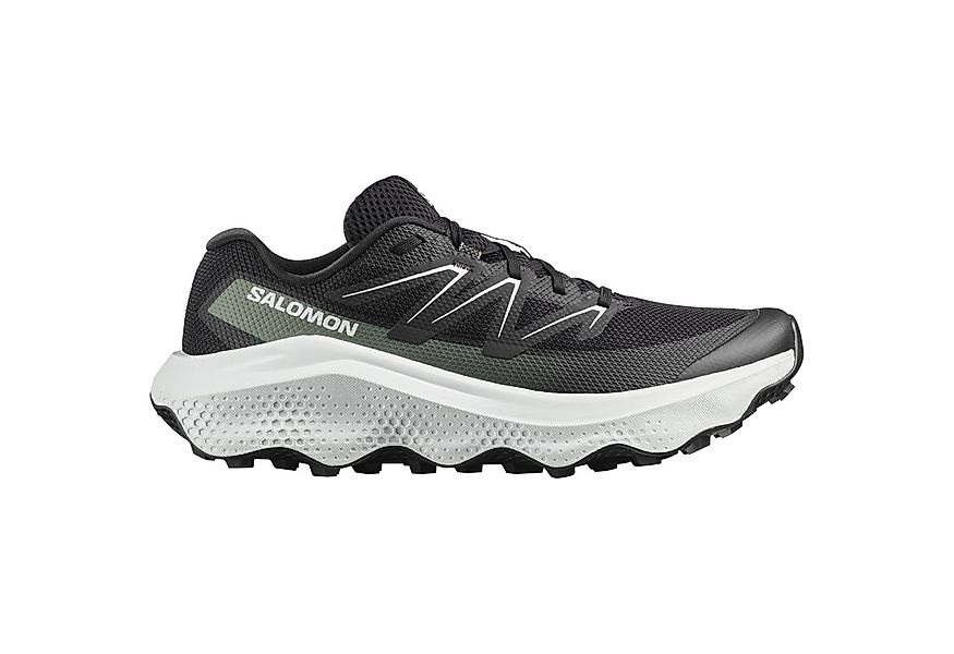 Salomon ULTRA FLOW 2 Laufschuh günstig online kaufen