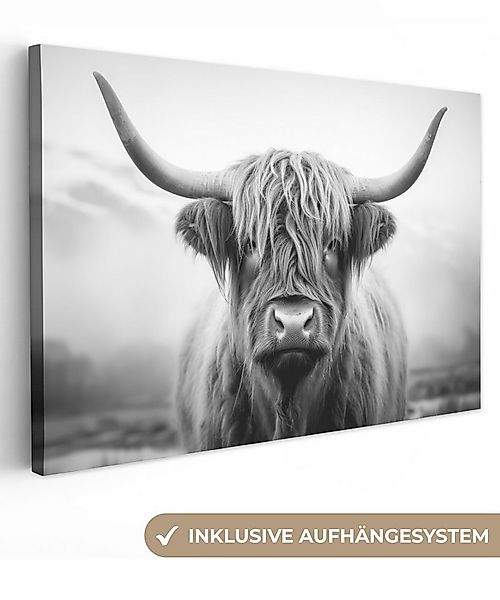 OneMillionCanvasses® Leinwandbild Schottischer Highlander - Tierportrait - günstig online kaufen