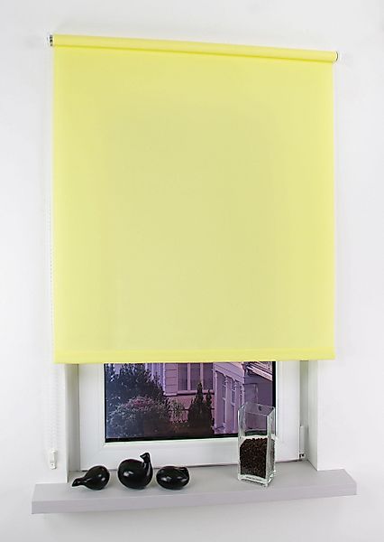 Seitenzugrollo Easy, Liedeco, Lichtschutz, freihängend, verschraubt, günstig online kaufen
