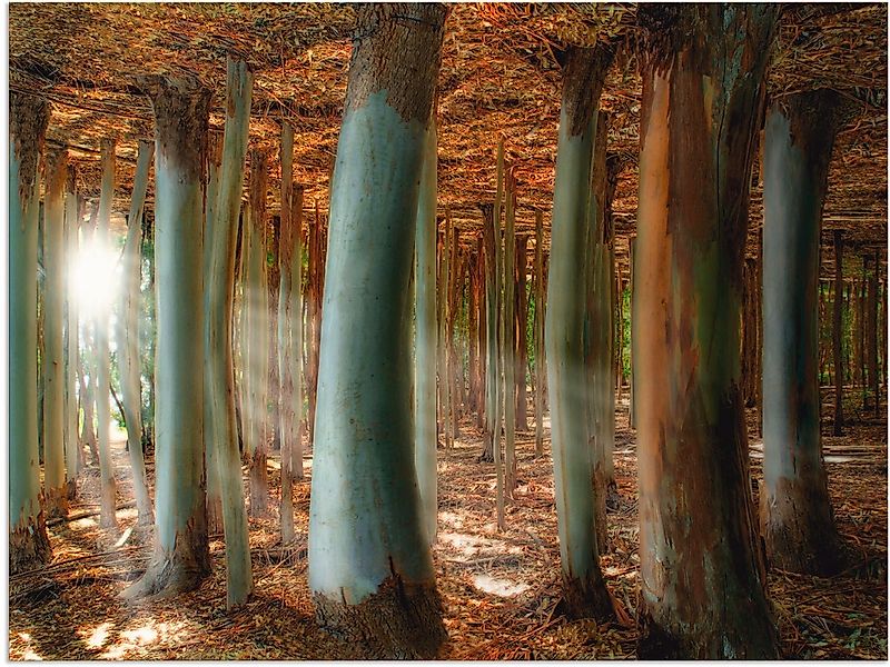 Artland Alu-Dibond-Druck "Zauberwald", Wald, (1 St.), für Innen- und Außenb günstig online kaufen