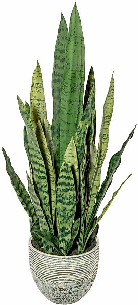 Künstliche Zimmerpflanze Sanseveria Sukkulente, Creativ green, Höhe 70 cm günstig online kaufen