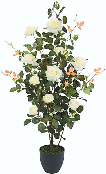 I.GE.A. Kunstbaum "Rosenbusch im Topf", Kunstrosen Kunstpflanzen Rosenstrau günstig online kaufen