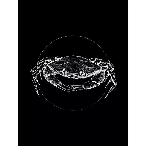 Komar Wandbild Crab Black Tiere B/L: ca. 30x40 cm günstig online kaufen