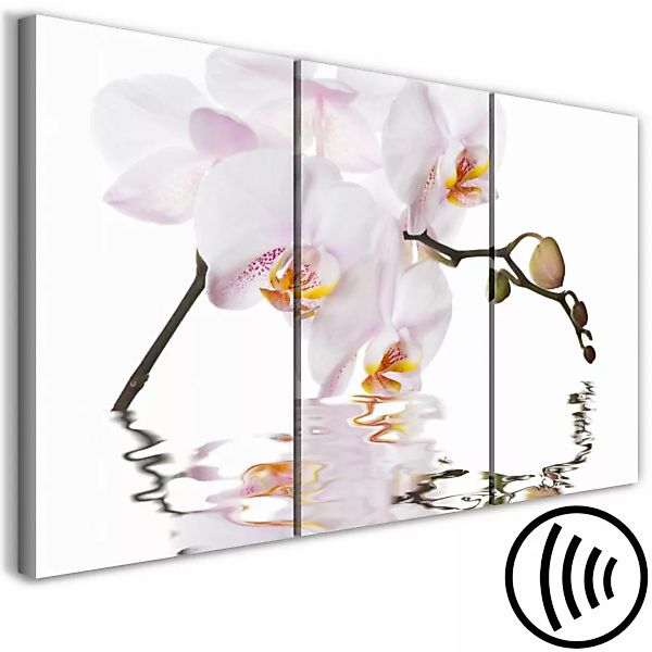 Leinwandbild Rosa Orchidee - Triptychon mit einer blühenden Orchideenblume günstig online kaufen