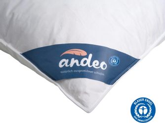 andeo Federkopfkissen "ANDEO" Füllung: 70% Federn & 30% Daune 1 Stk. tlg. N günstig online kaufen