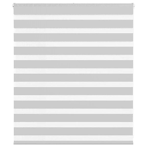 vidaXL Doppelrollo Hellgrau 120x100 cm Stoffbreite 115,9 cm Polyester 40144 günstig online kaufen