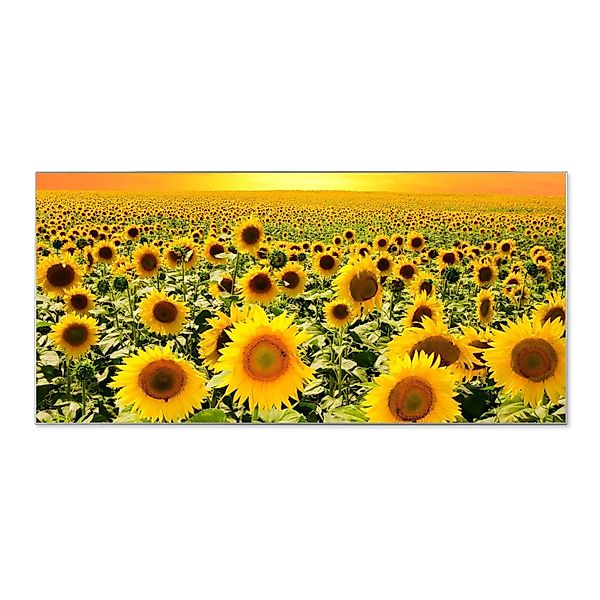 Banjado Magnettafel 78x37cm Magnetwand  Silber Aus Metall Magnetpinnwand Pi günstig online kaufen