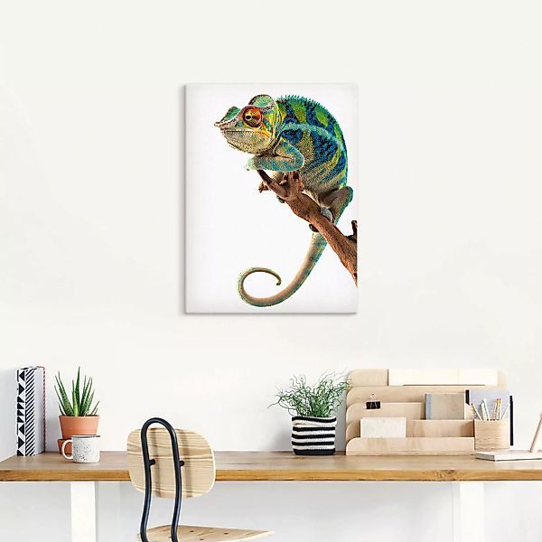 Artland Wandbild »Ambanja Panther Chamäleon«, Reptilien, (1 St.), als Leinw günstig online kaufen