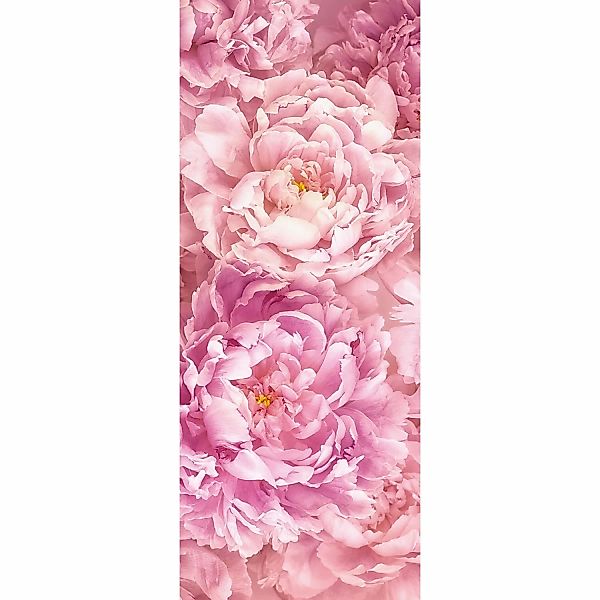 Komar Fototapete Vlies Shelly White Panel 100 x 250 cm  100 x 250 cm günstig online kaufen
