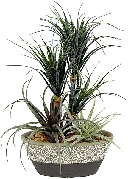 I.GE.A. Kunstpflanze "Dracena/Tillandsia" Im Übertopf aus Keramik günstig online kaufen