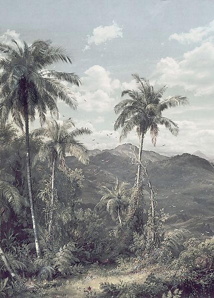 Komar Fototapete Vlies The Exotic Land  200 x 280 cm günstig online kaufen
