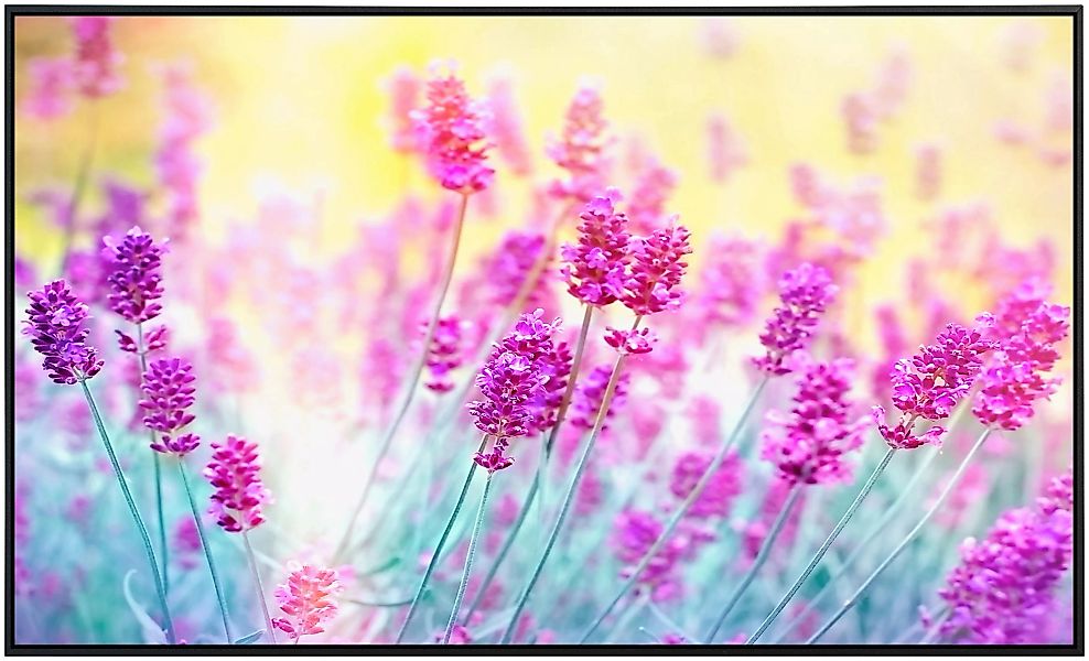 Papermoon Infrarotheizung »Lavendelblume«, sehr angenehme Strahlungswärme günstig online kaufen