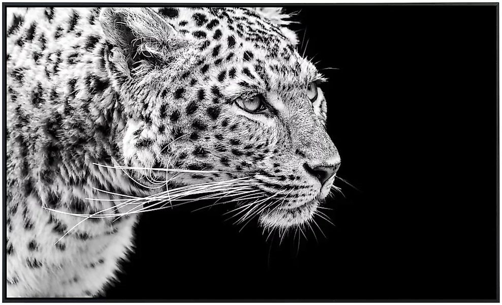 Papermoon Infrarotheizung »Leopard Schwarz & Weiß«, sehr angenehme Strahlun günstig online kaufen