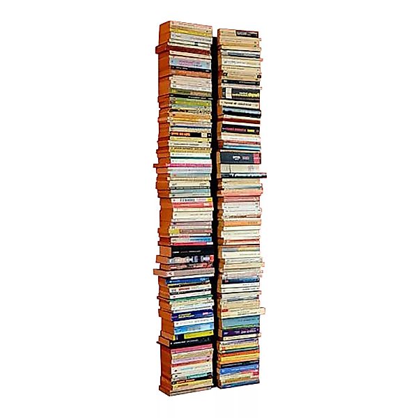 Radius - Booksbaum Wandregal groß - schwarz/BxHxT 36x170x12cm/18 Fächer günstig online kaufen