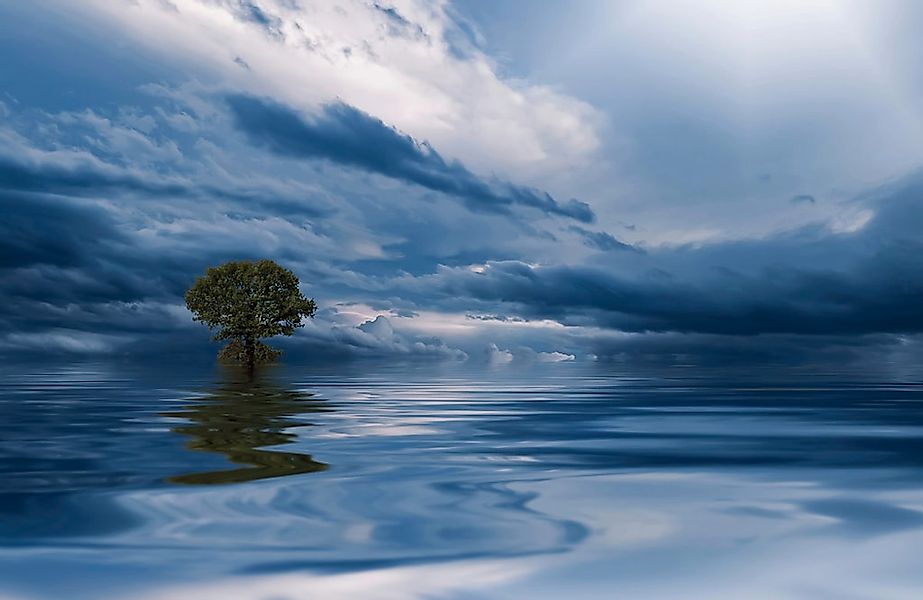 Papermoon Fototapete "MEER WOLKEN-BAUM BEACH STRAND PANORAMA HIMMEL WELLEN" günstig online kaufen