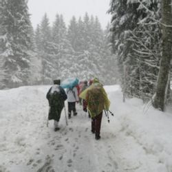 relaxdays Regenponcho Einweg Regenponcho 10er Set günstig online kaufen