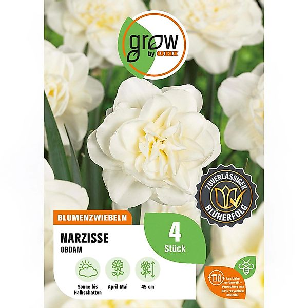 GROW by OBI Narzissen Gefüllte Obdam Weiß 4 Stück Narcissus double Obdam günstig online kaufen